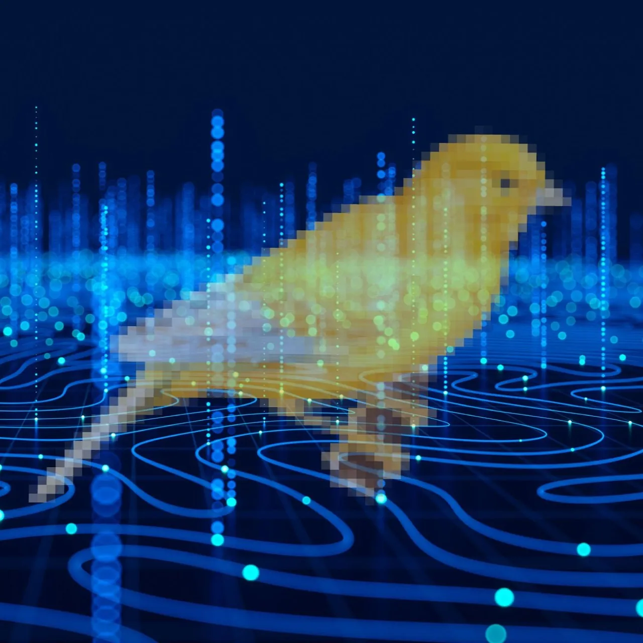 Official Stanford Digital Economy Lab artwork for the Canaries in the Coal Mine labor-market research.