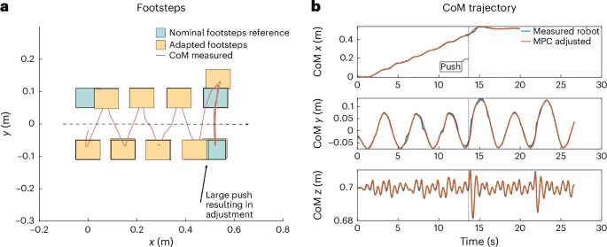Locomotion tracking