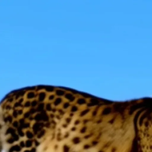 Low-resolution input crop of a leopard with blurred fur and facial markings