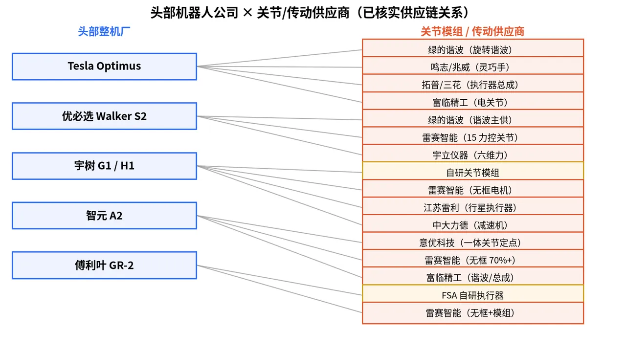 Wiring diagram of head robot companies (Tesla, UBTECH, Unitree, AgiBot, Fourier) to their joint/transmission suppliers