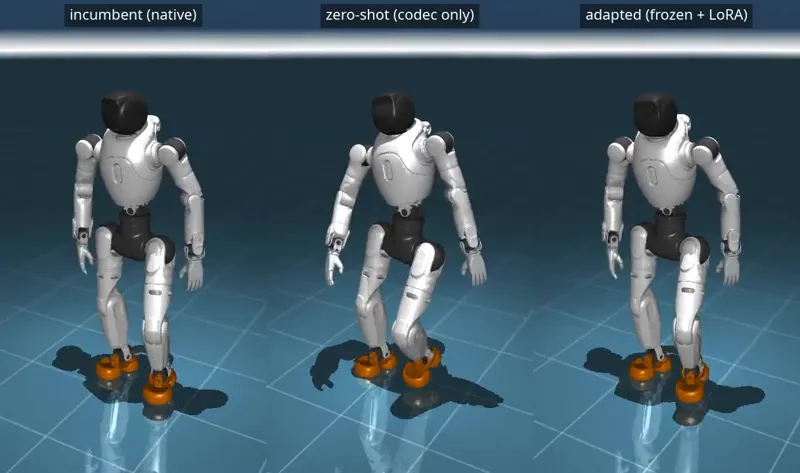 Cross-Embodiment Transfer of a Frozen Humanoid Whole-Body Controller via Analytic Codec and LoRA Adapters