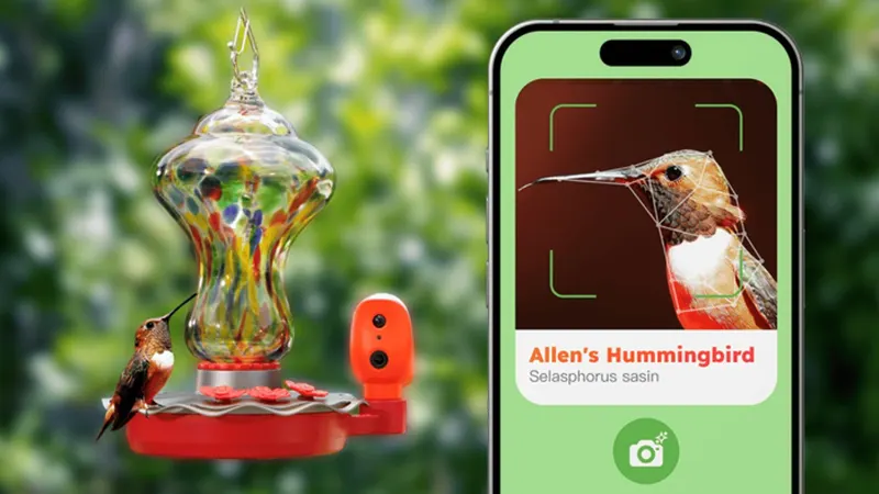 Luck - The Smart Hummingbird Feeder