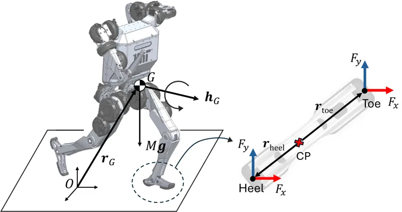 Learning Humanoid Arm Motion via Centroidal Momentum Regularized Multi-Agent Reinforcement Learning