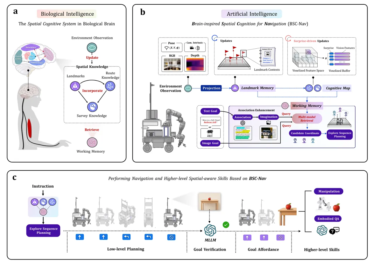 Figure 1: The BSC-Nav framework — (a) structured spatial memory in biological brains, (b) its computational instantiation, (c) navigation and higher-level spatial-aware skills it enables.