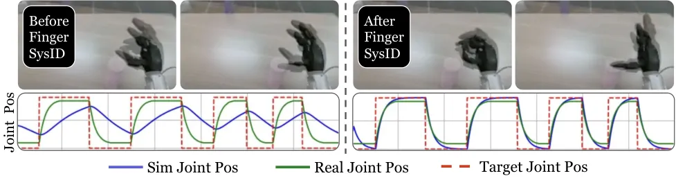 System identification of the dexterous hand