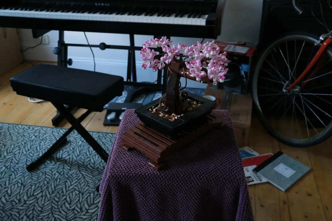 Ground-truth Bonsai reference view
