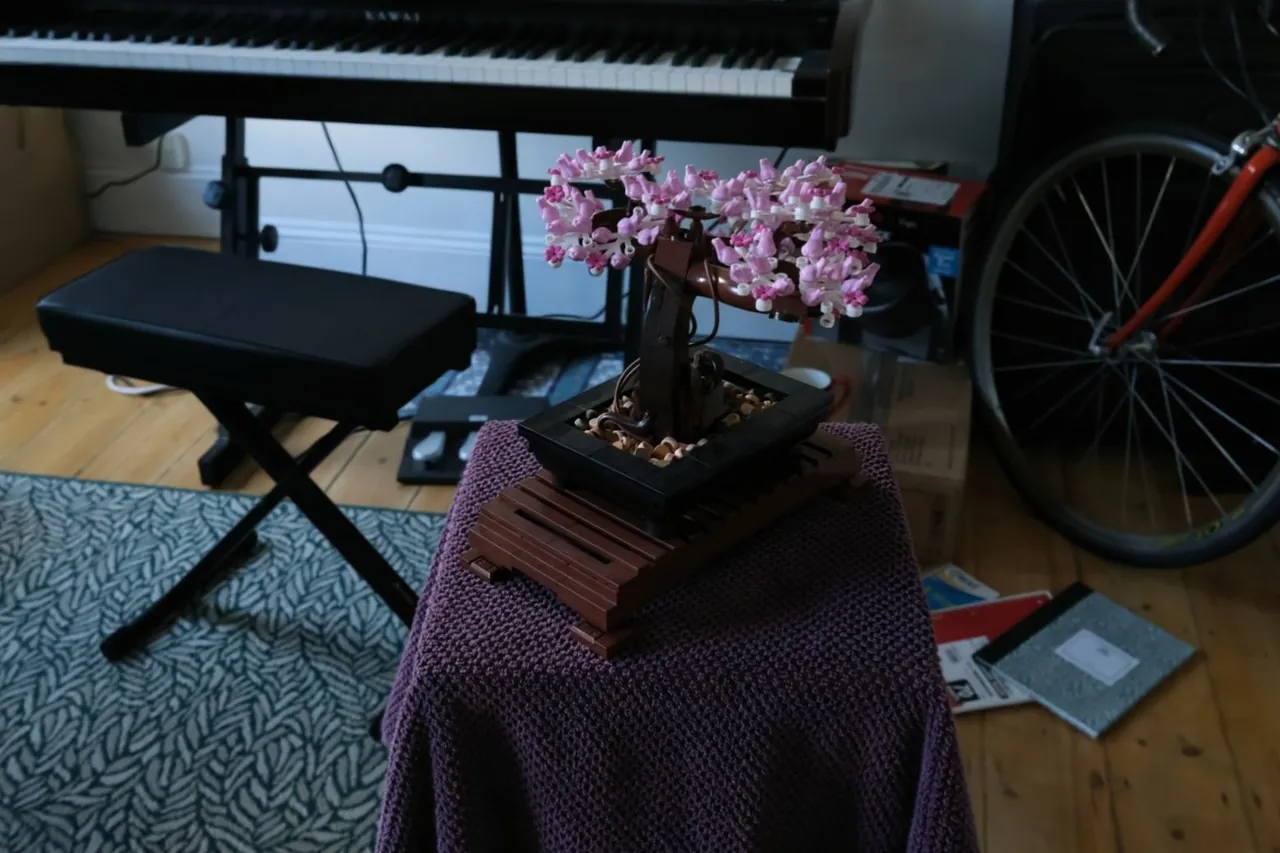 VGGT-X Bonsai rendering