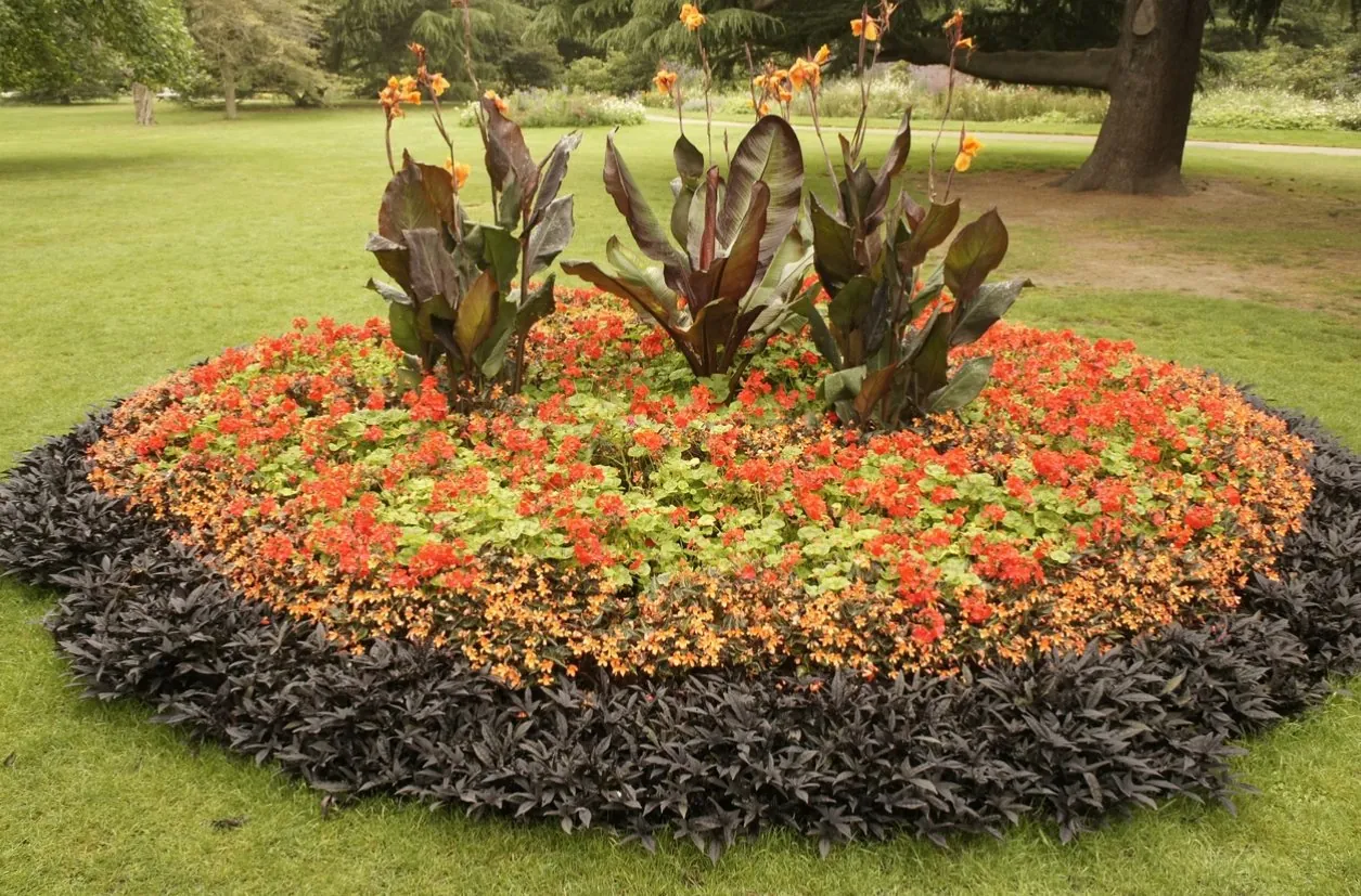 Ground-truth Flowers reference view