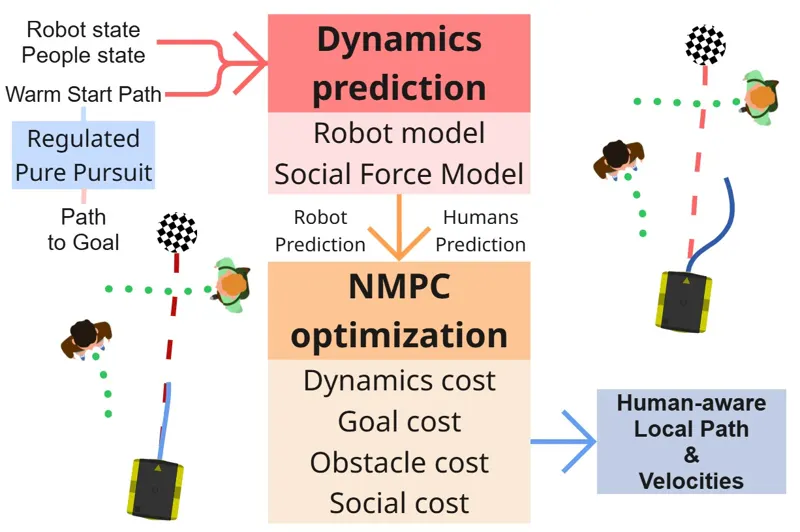 Navigating the Crowd: Non-linear MPC with Social Forces Dynamics for Human-Aware Robot Navigation
