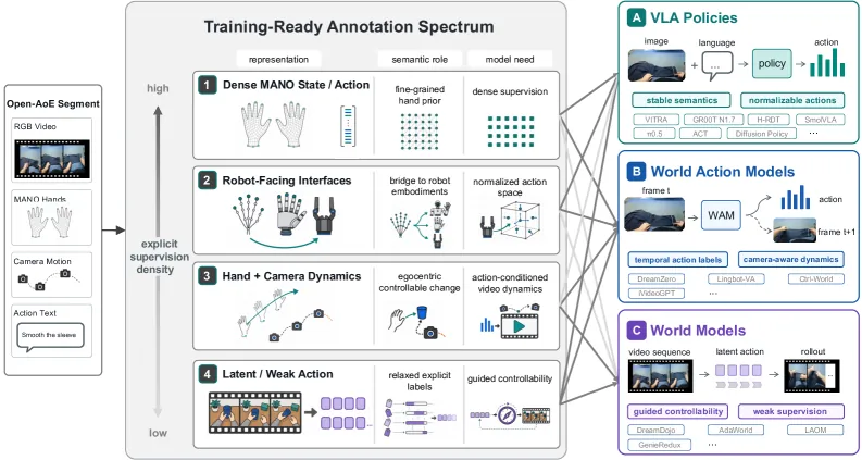Figure 5. AoE-Training-Ready representation spectrum and downstream connections