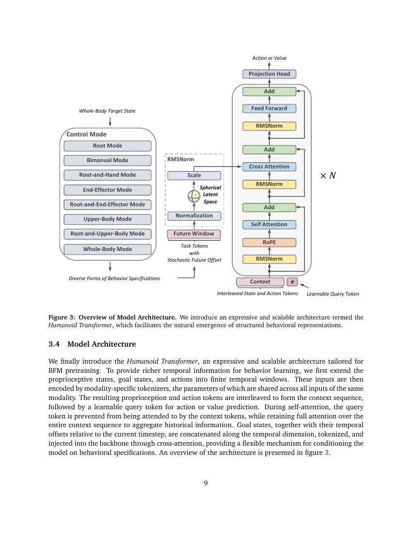 Humanoid Transformer architecture
