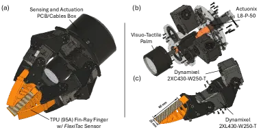 Finger kinematics schematic