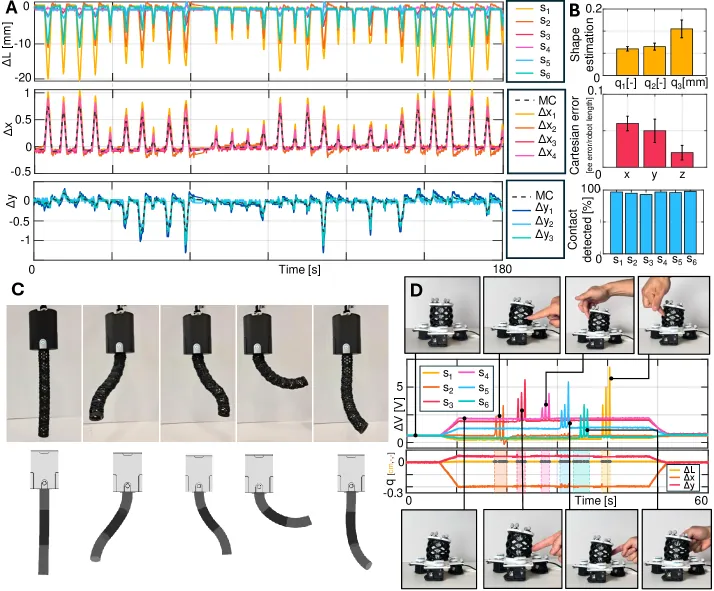 Single-segment proprioception and contact detection