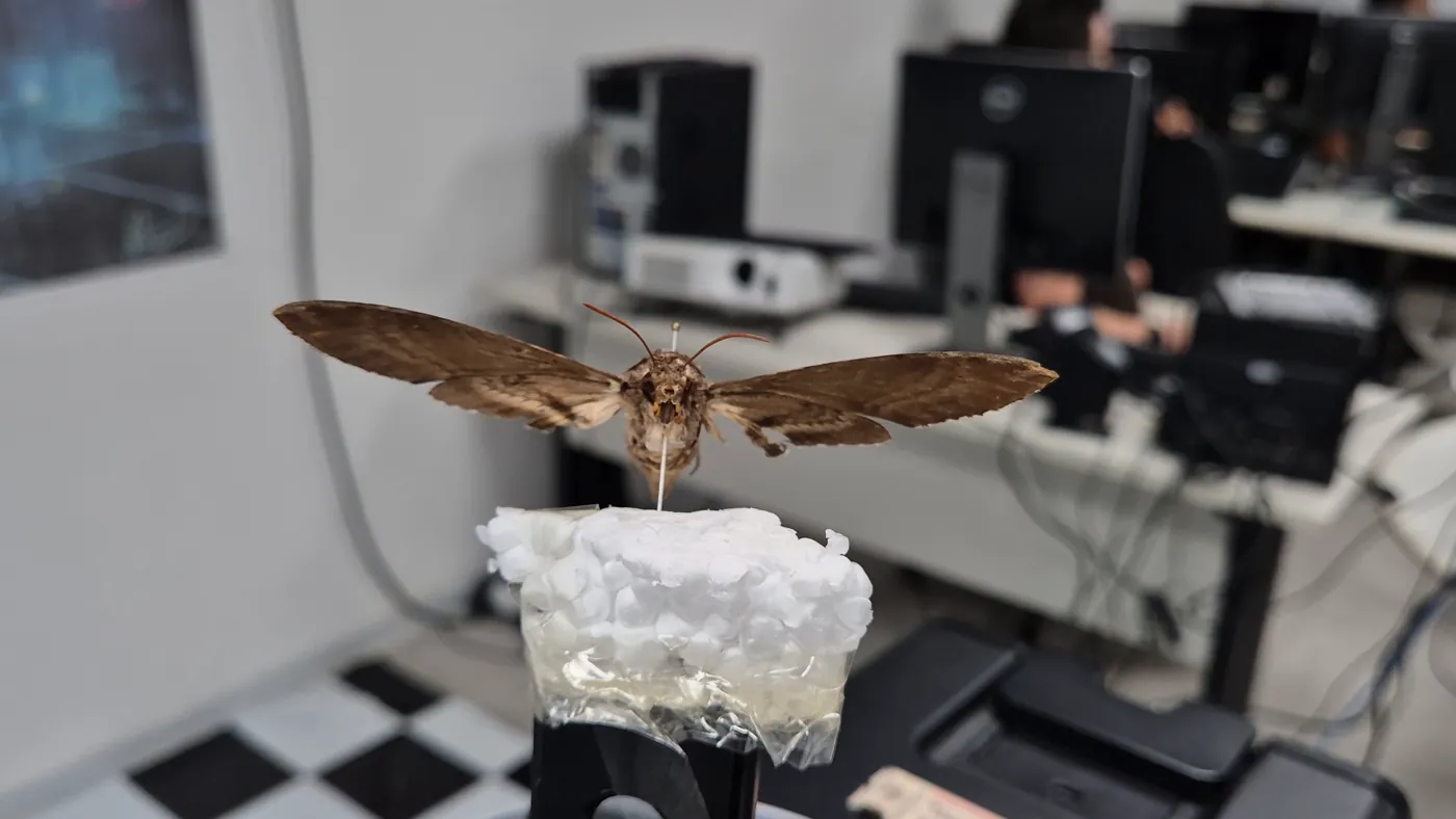 3DGS reconstruction
