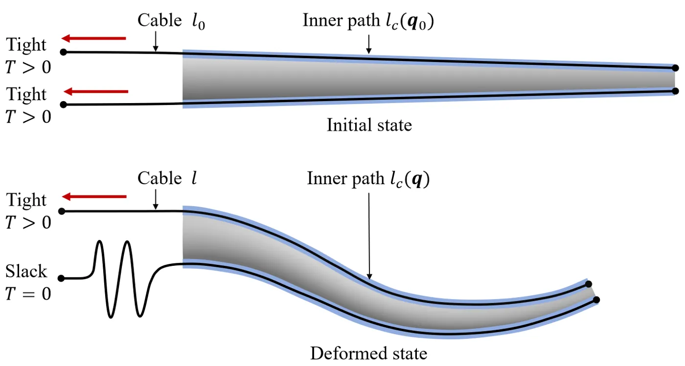 Cable complementarity condition