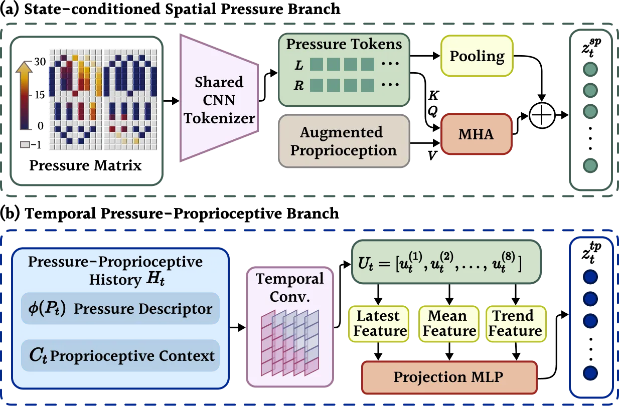 Dual-branch plantar pressure encoder architecture