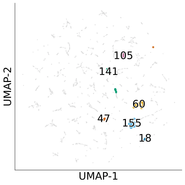 困难集合的 UMAP 聚类