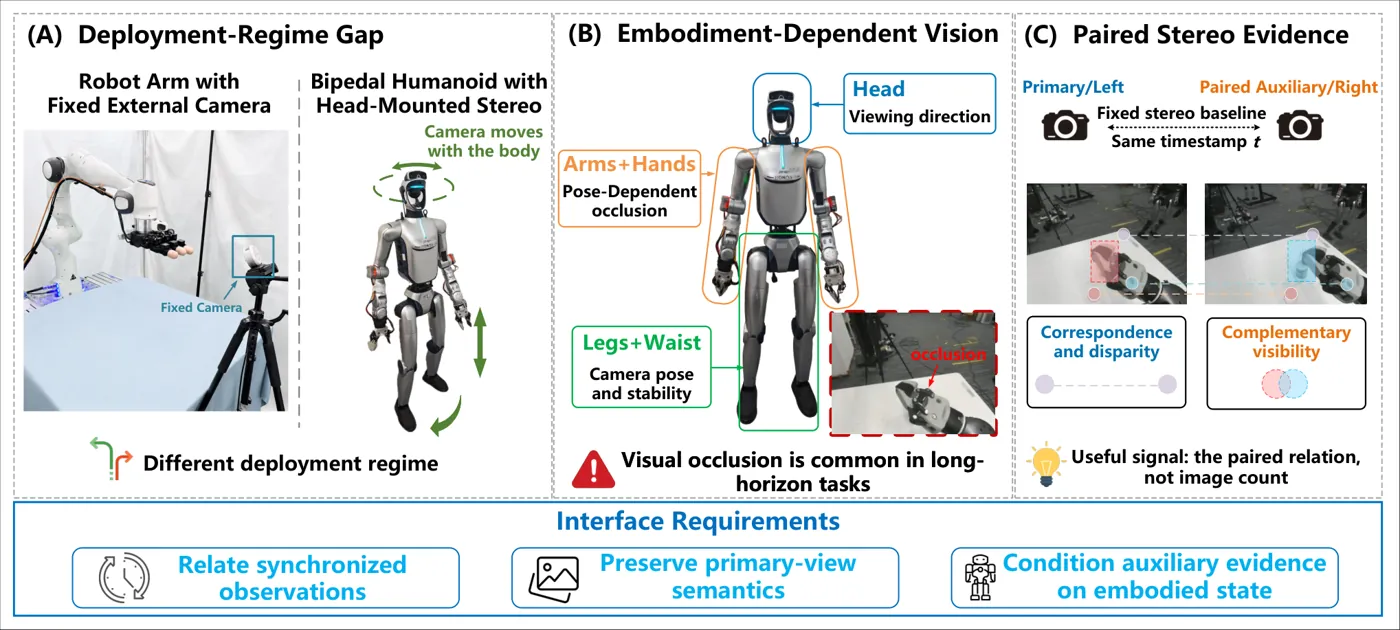 Motivation for paired stereo in humanoid VLA control