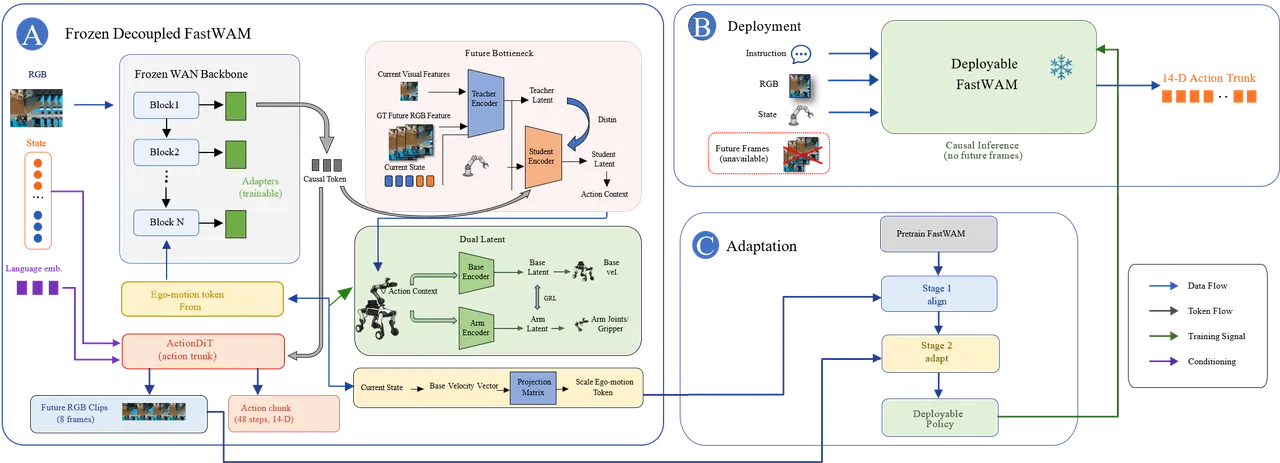 DECOWAM architecture, training, and deployment