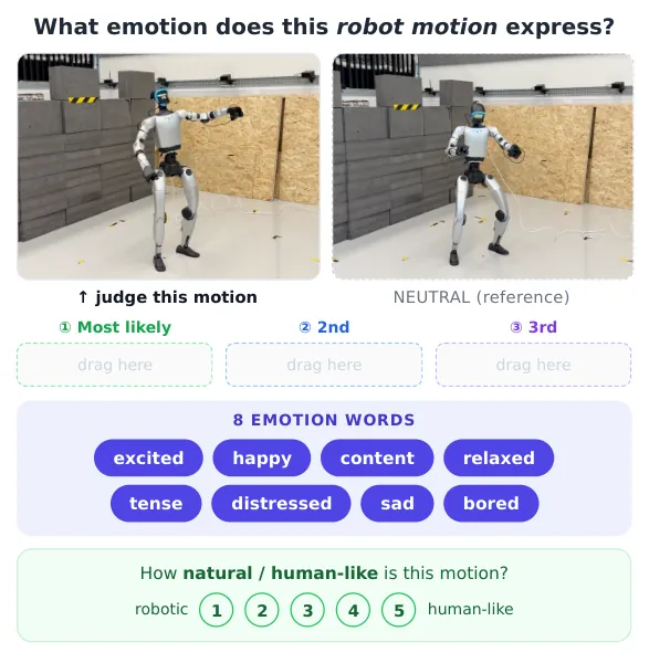 User study interface