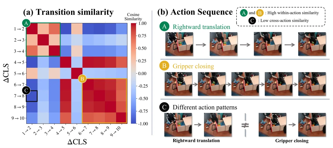 CLS transition similarity matrix and action patterns