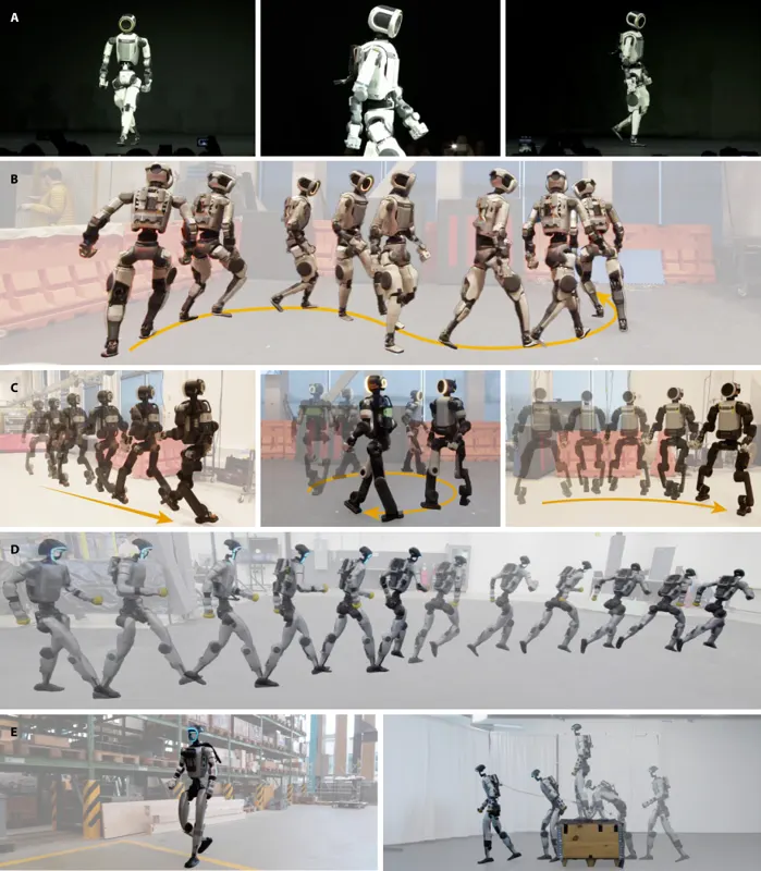 HuMBLE: Human Motion-Driven Behavior Learning for Embodied Locomotion
