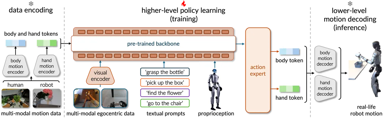 VioLA method overview