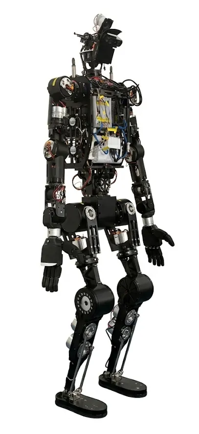 Real humanoid robot platform