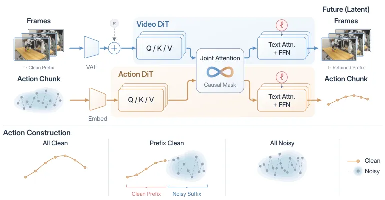 OneWM architecture and action-conditioning regimes