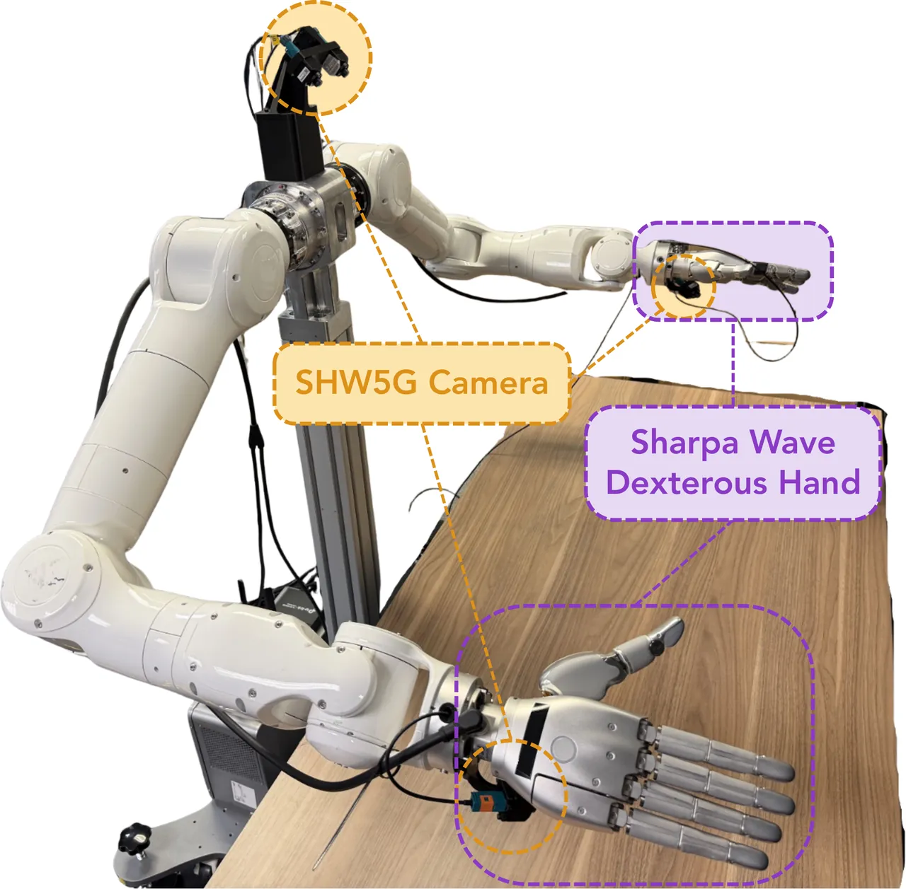 Tianji-Sharpa real-robot platform: humanoid torso with two 22-DoF dexterous hands