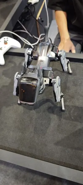 Quadruped Robot