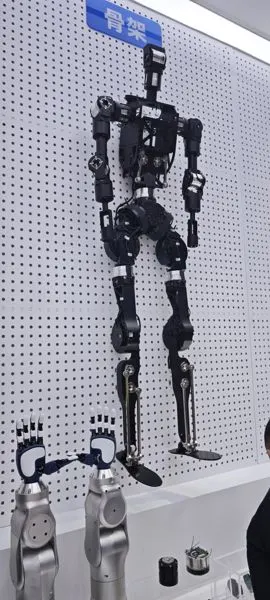 Humanoid Robot Skeleton Display