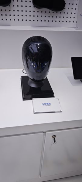 Head Module