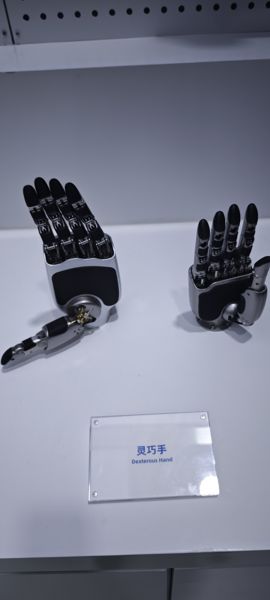 Dexterous Hand