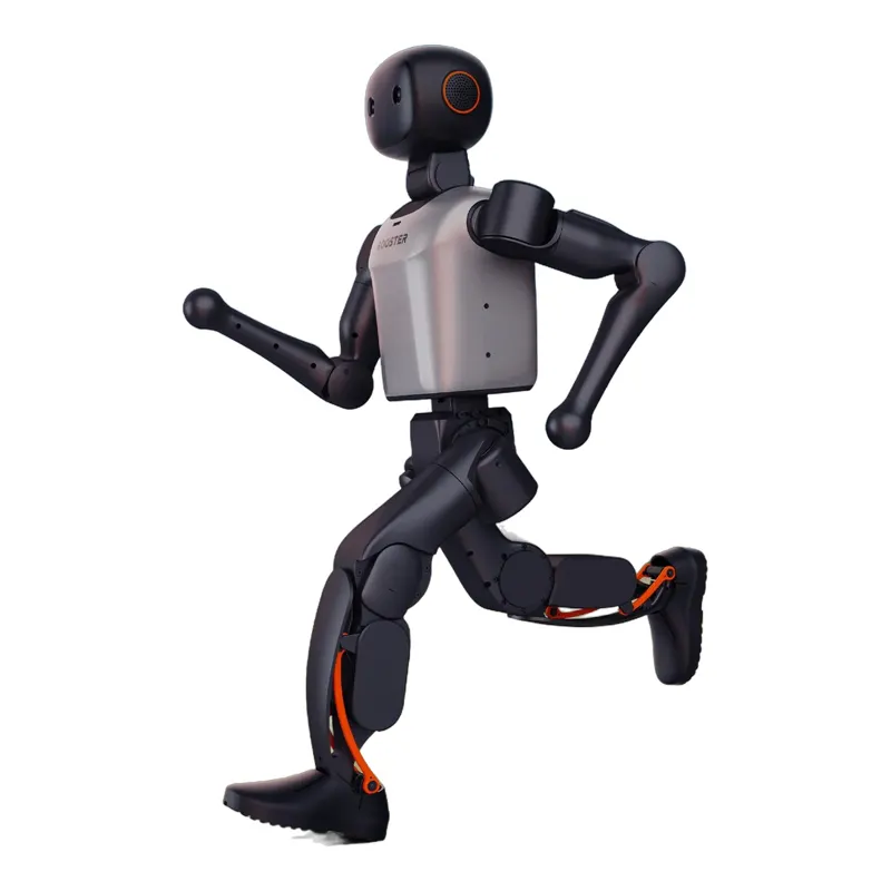 Booster K1 Humanoid Robot