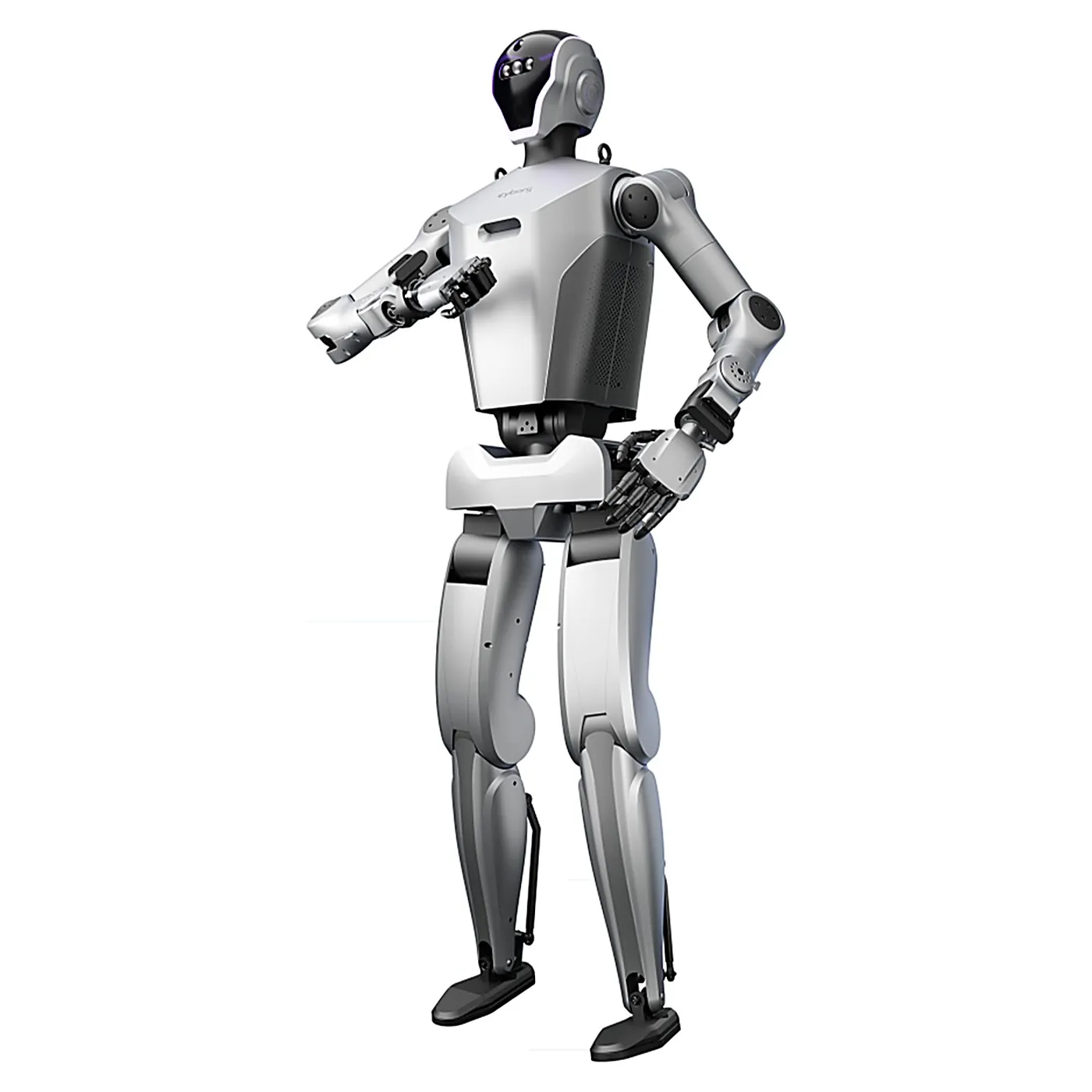 Cyborg CYBORG-R01 Full-Size Bipedal Humanoid