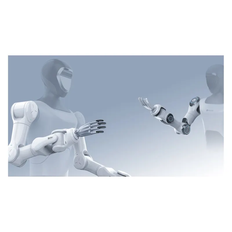 Huayan Echo/HY 7-Axis Humanoid Arm Series
