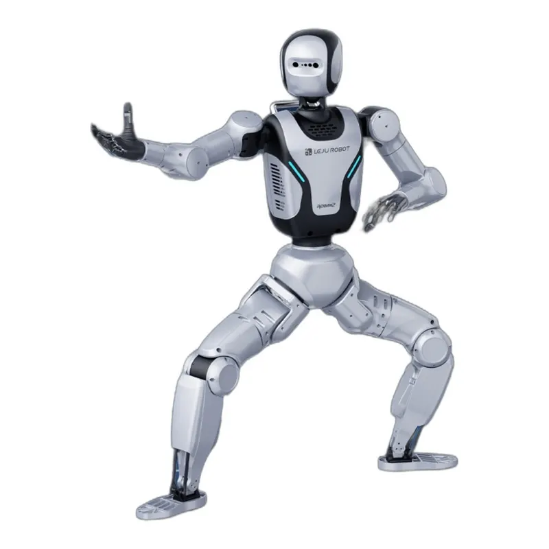 ROBAN 2 Humanoid Robot