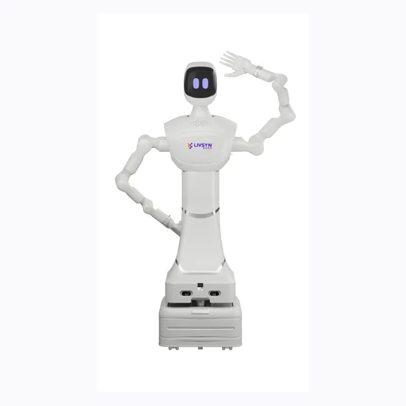 Livsyn L0 Multi-functional Humanoid Robot