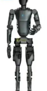Pudu D9 Humanoid Robot