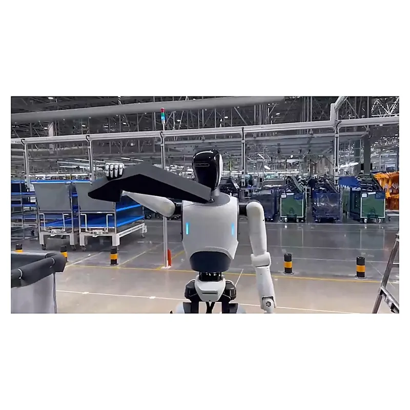 WuBa Dasheng D12 Full-Size General-Purpose Humanoid