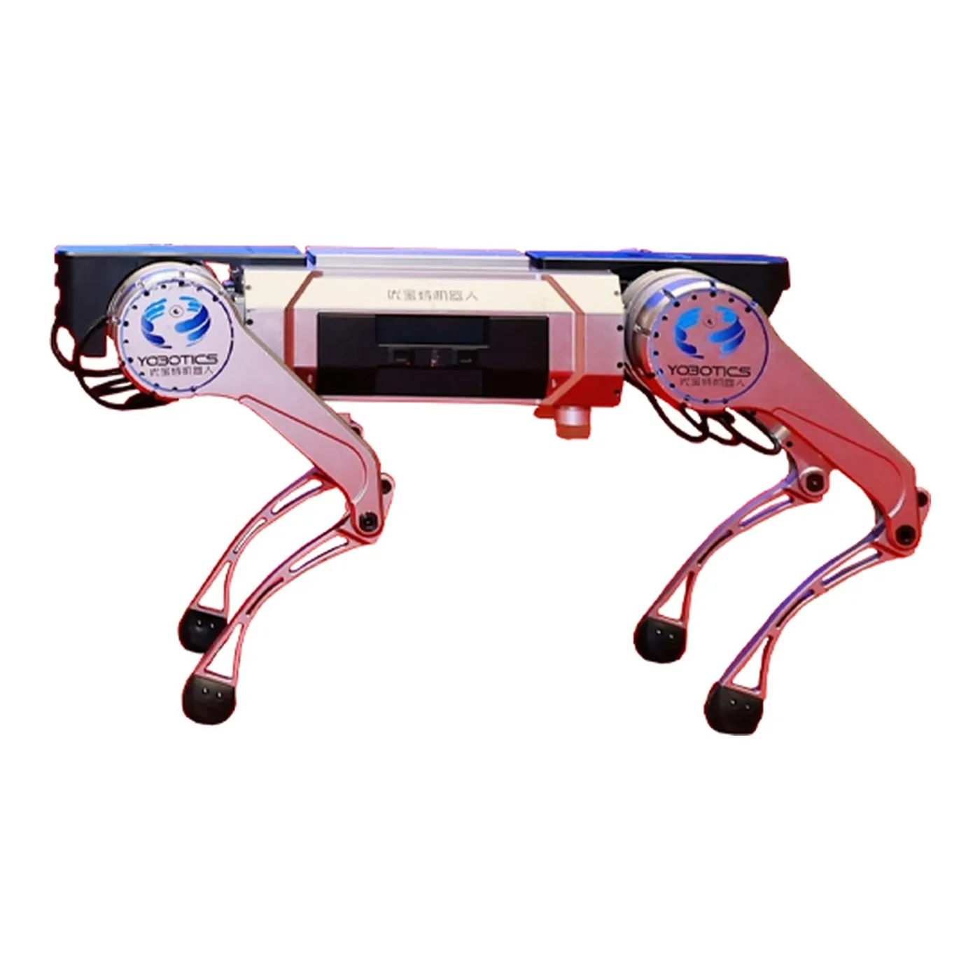 Yobotics Y5 Desktop Quadruped Robot