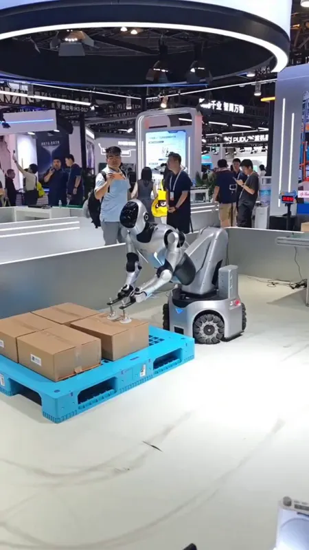 China robots do it all: service, chores, sorting, assembly