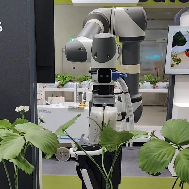 MetaFarmers strawberry harvesting robot