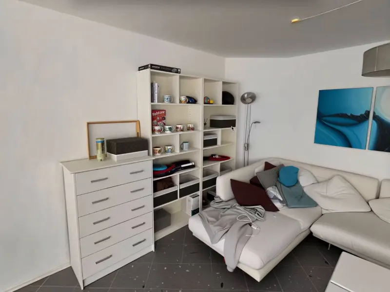 A Five-Minute Apartment Scan with Echo-3