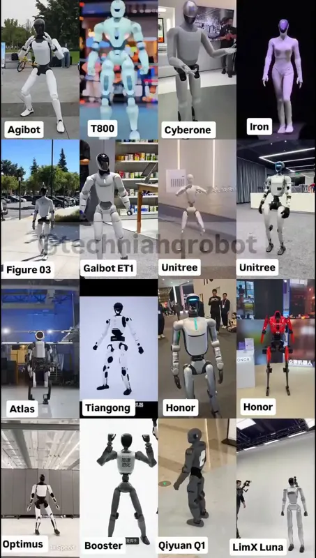 16 Humanoid Robots in One Frame: The 2026 Field