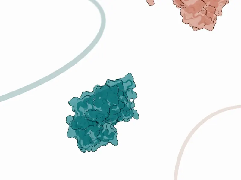 BindCraft2: De Novo Protein Binder Design, Open-Sourced Ahead of the Paper